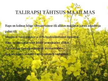 Taliraps #2