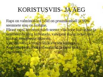 Taliraps #14