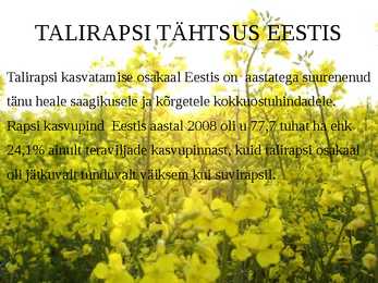 Taliraps #4