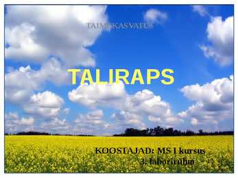 Taliraps
