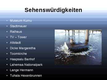 Estland #7
