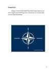 NATO #3