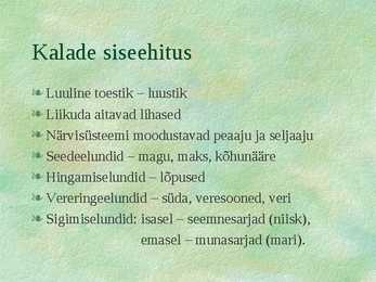 Kalad #3
