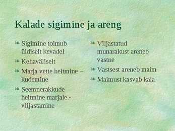 Kalad #4