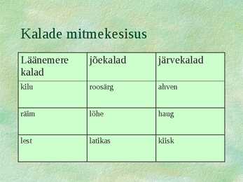Kalad #5