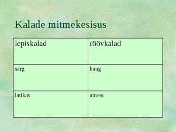 Kalad #6