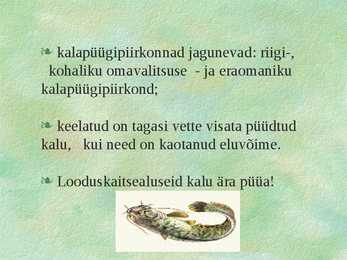 Kalad #9