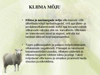 Lambavill #5