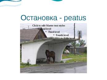Sõnad liiklusest #11