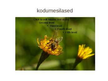 Kiletiivalised #4