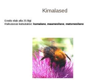Kiletiivalised #5