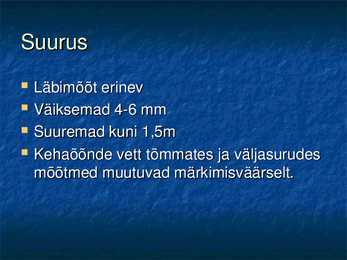 Meriroosid #8