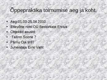 Praktika aruande näidis #2