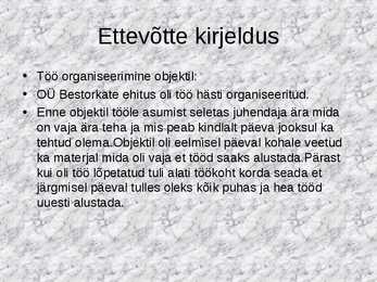 Praktika aruande näidis #3