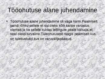 Praktika aruande näidis #4