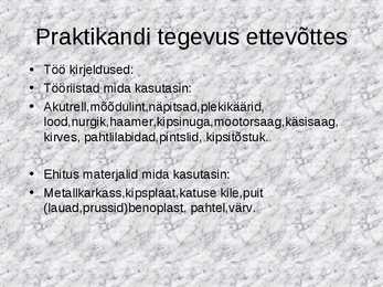 Praktika aruande näidis #5