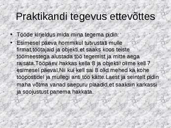 Praktika aruande näidis #6