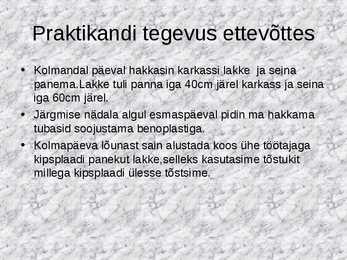 Praktika aruande näidis #7