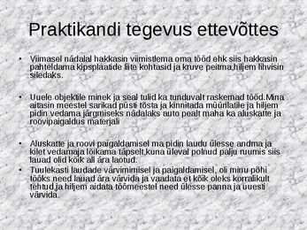 Praktika aruande näidis #8