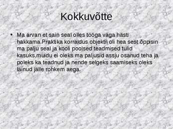 Praktika aruande näidis #9
