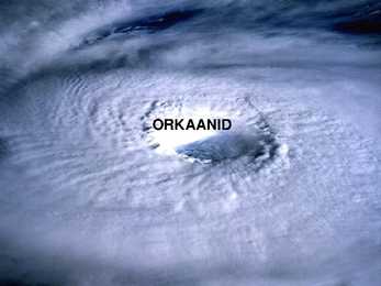 ORKAANID