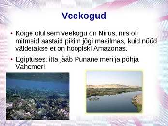 Egiptus #9