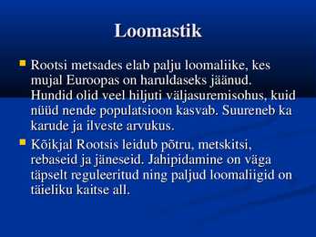 Rootsi #13