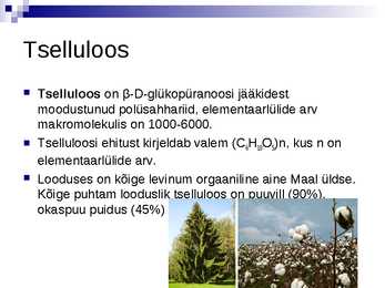 Süsivesikud #14