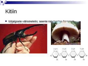 Süsivesikud #16