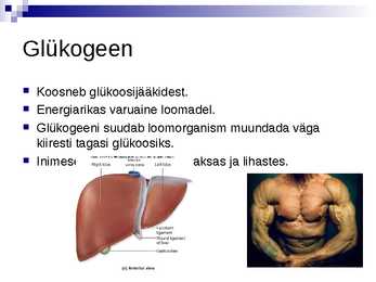 Süsivesikud #17