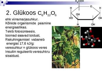 Süsivesikud #6