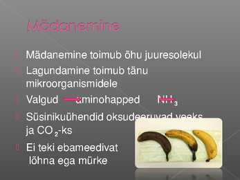 Kõdunemine kui eksotermiline protsess #4