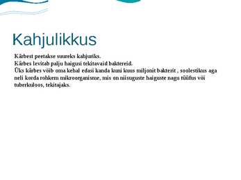 Kärbes #7