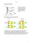 Abs Pidurid #4
