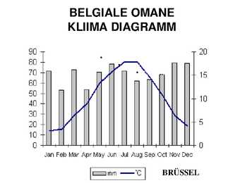 Belgia #11