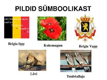 Belgia #4