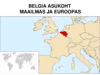 Belgia #8