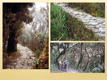 Machu Picchu #6