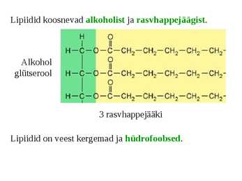 Lipiidid #2