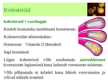 Lipiidid #11