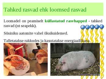 Lipiidid #4