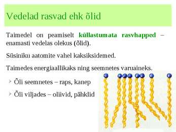 Lipiidid #5