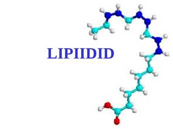 Lipiidid