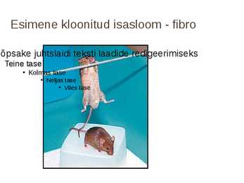 Imetajate kloonimine #11