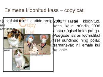 Imetajate kloonimine #12