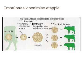 Imetajate kloonimine #5
