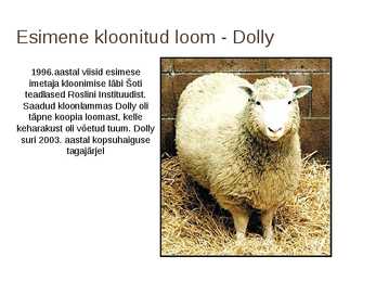 Imetajate kloonimine #7