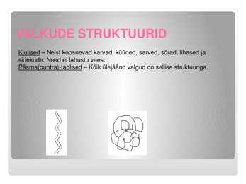 Valgude ehitus-struktuur ja tuntumad valgud #5