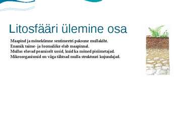 Biosfäär #4