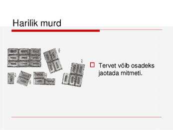 Harilikud murrud #5